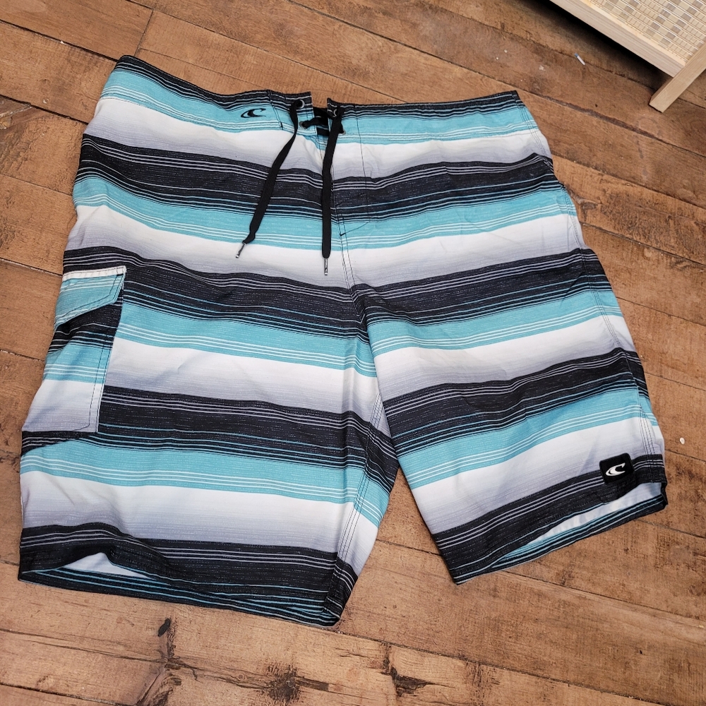 O'Neill Santa Cruz Stripe Boardshort